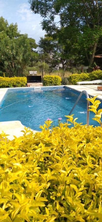 Complejo Cumelen Apartment Federación Екстериор снимка